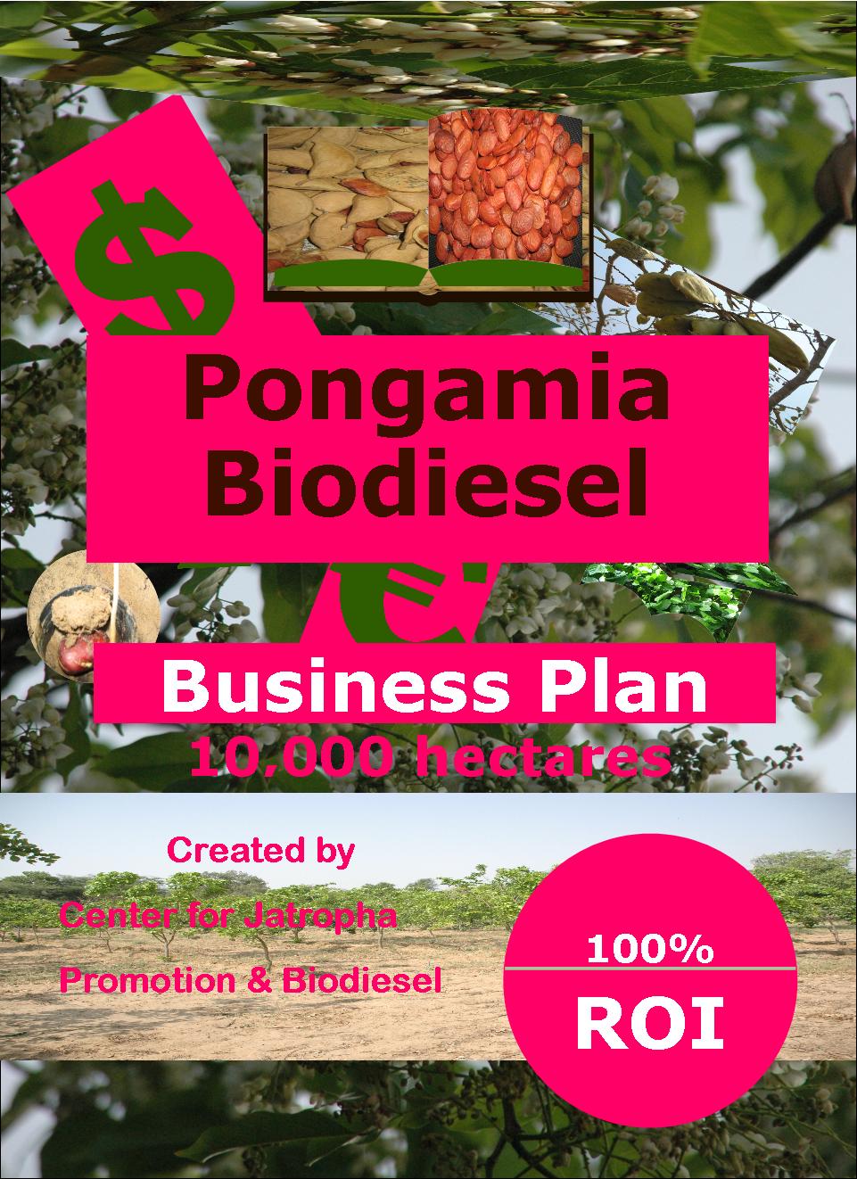 pongamia biodiesel business plan 10000 ha