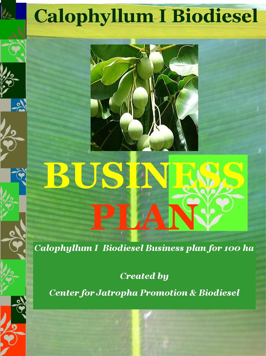 calophyllum biodiesel business plan