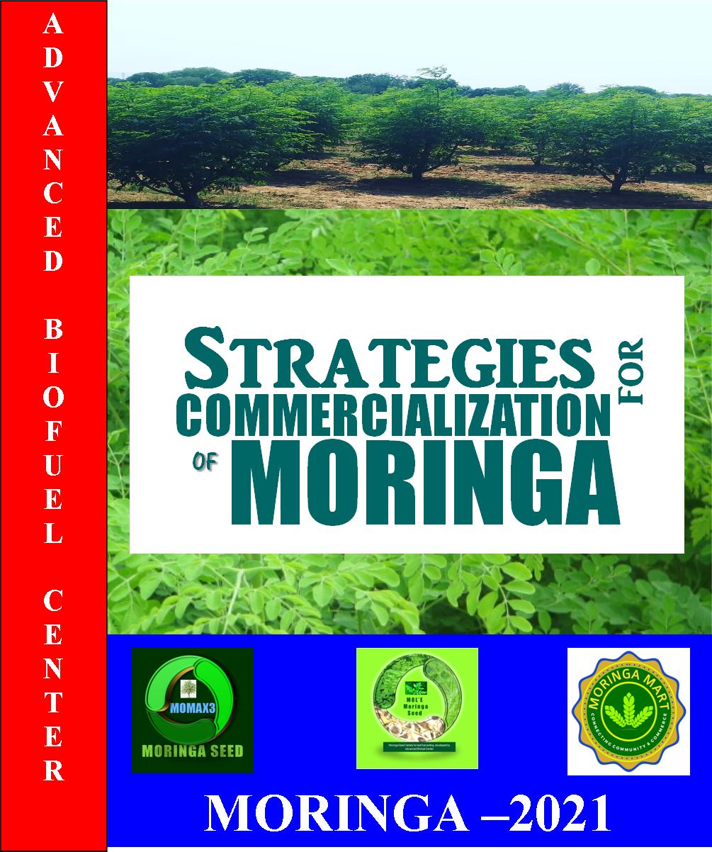 Strategies For Commercialization Of Moringa