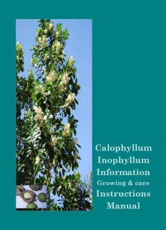 calophyllum book