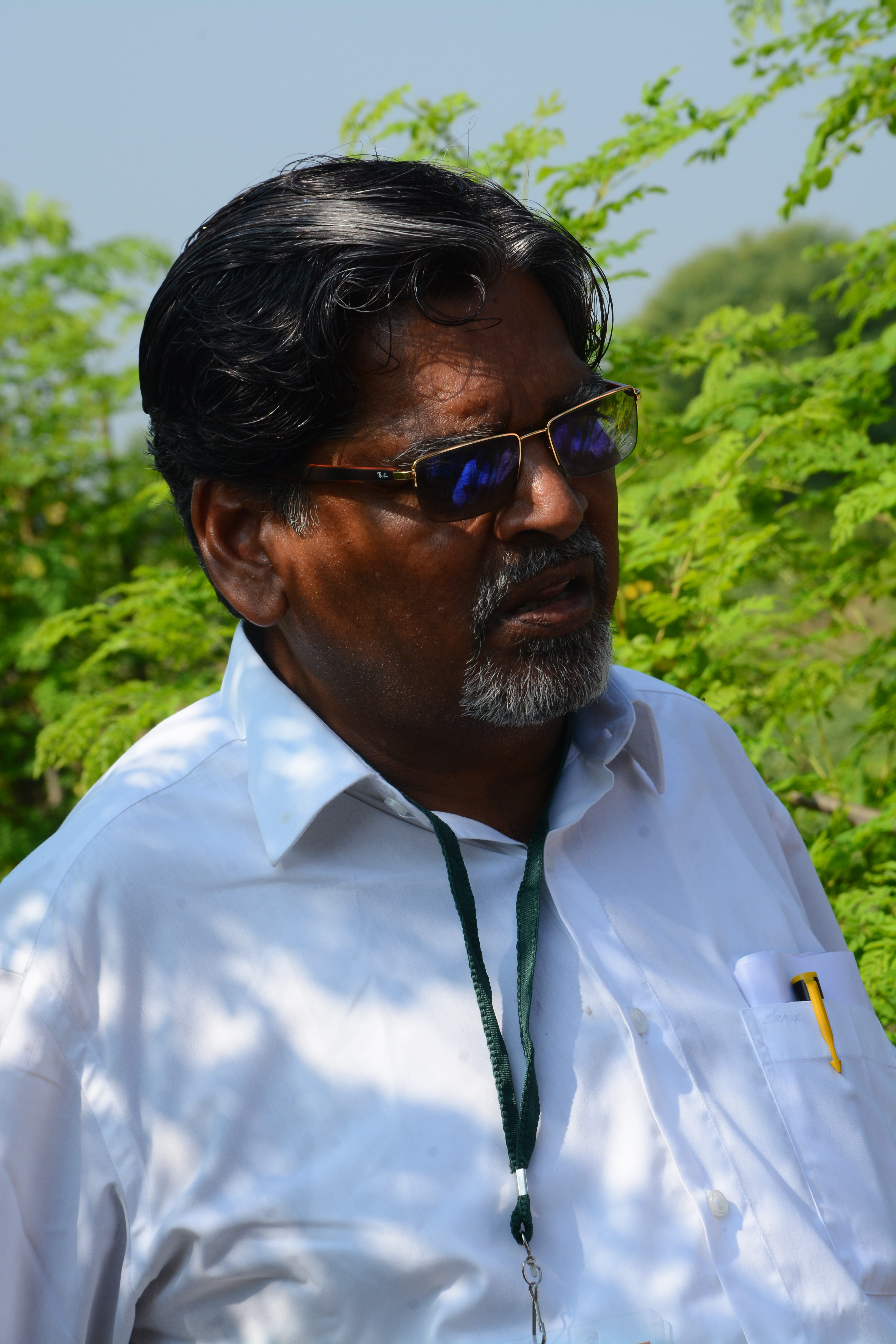 dp maharshi Expert/Adviser in Moringa
