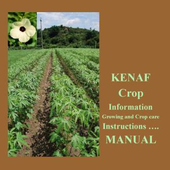 kenaf growing guide
