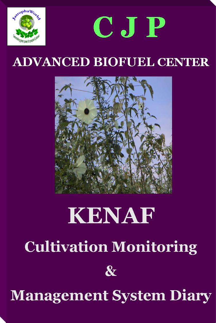 kenaf cultivation management