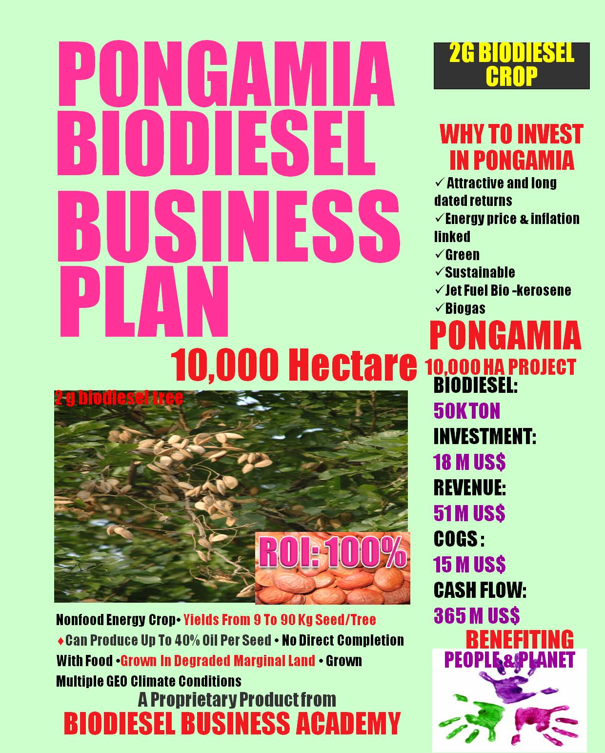 pongamiabiodieselbusinessplan