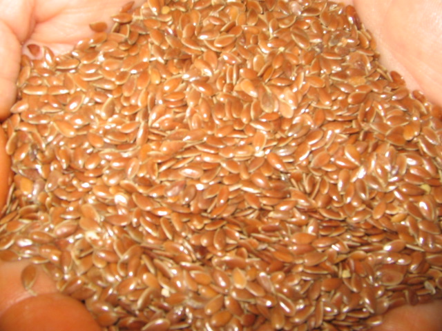 Farm fresh flax seeds