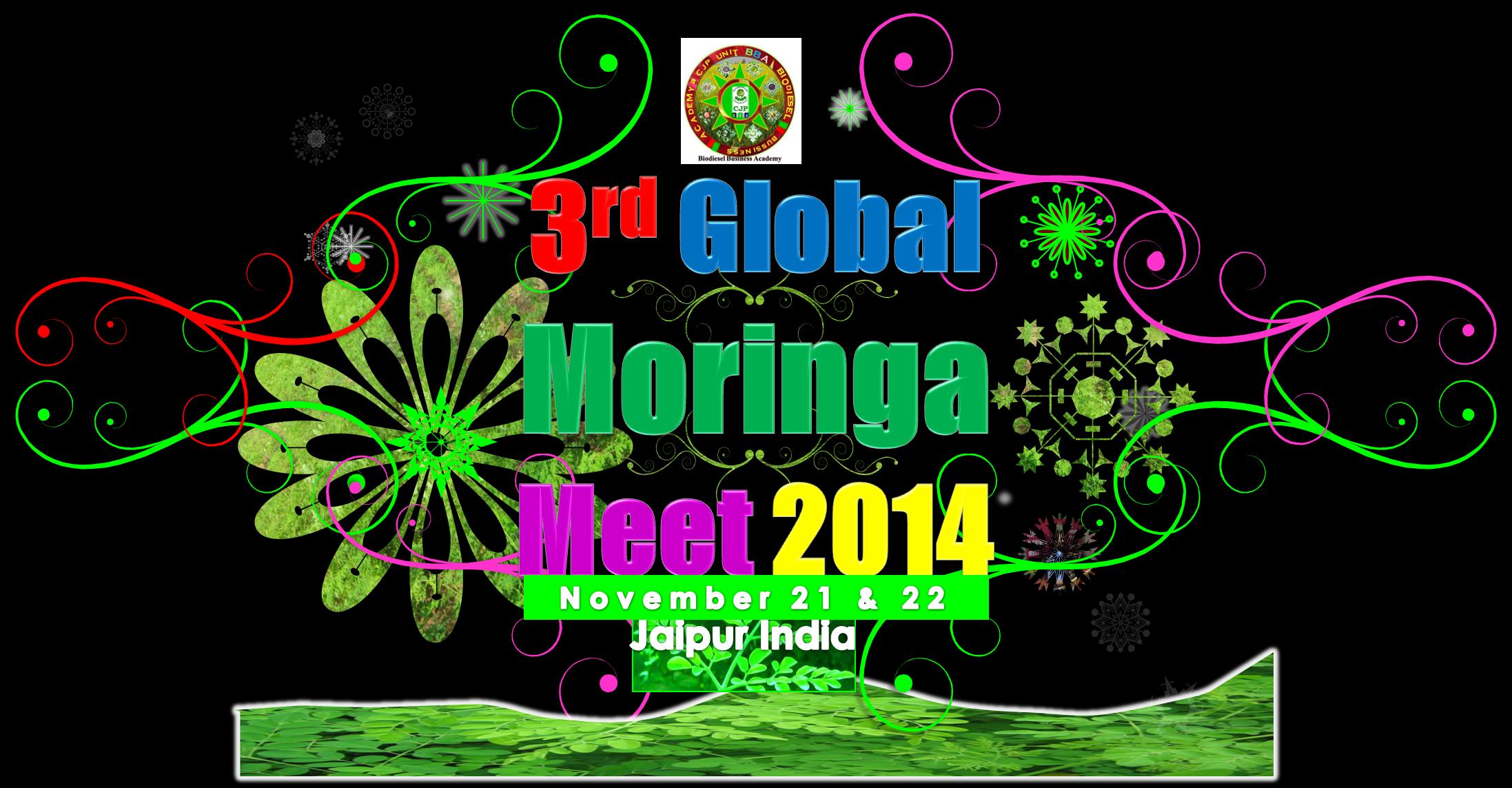 3rd global moringa meet 2014 3rd global moringa meet 2014