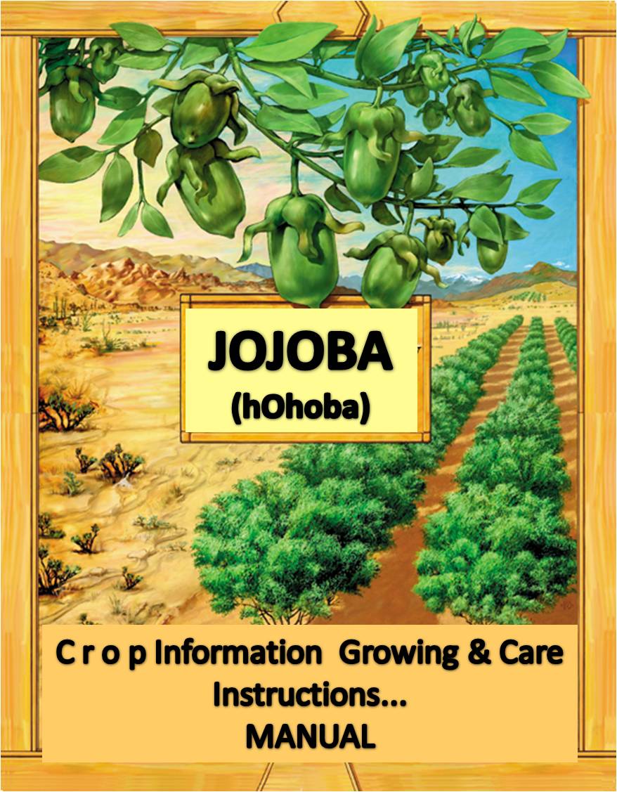 jojoba crop guide