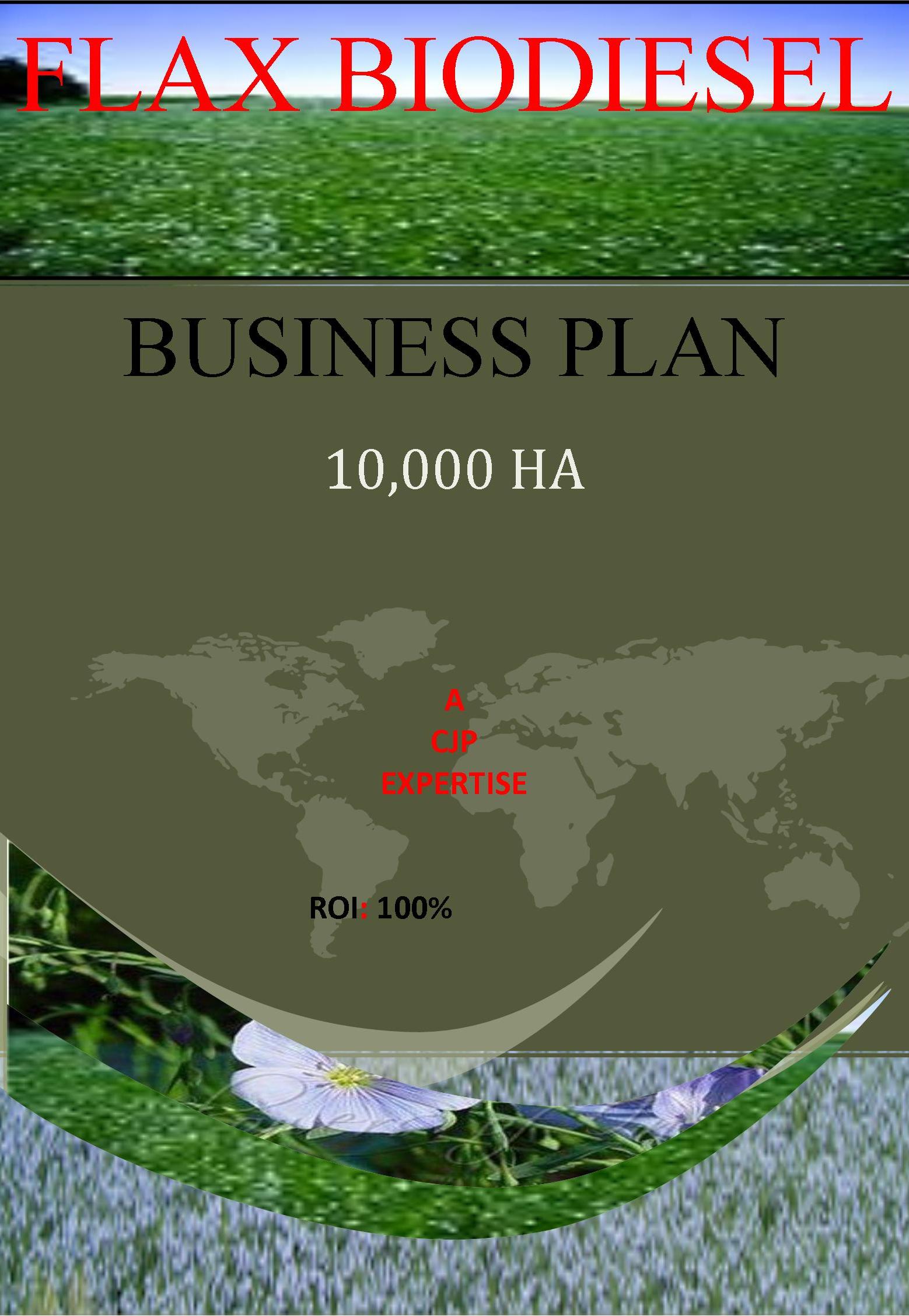 flax biodiesel business plan