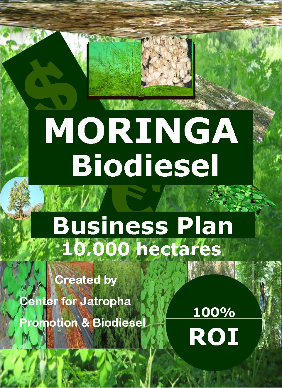 Moringa biodiesel business plan 10 k