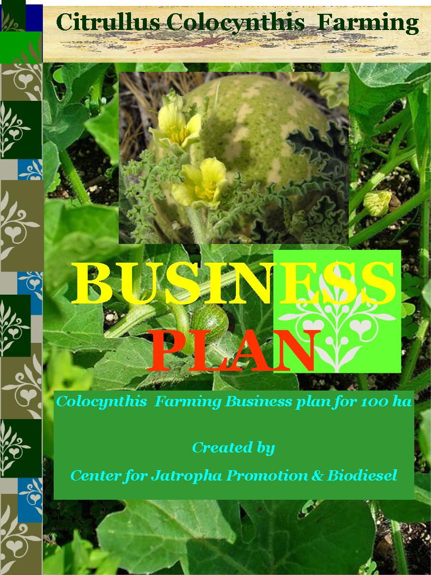 Citrullus Colocynthis farming business plan 