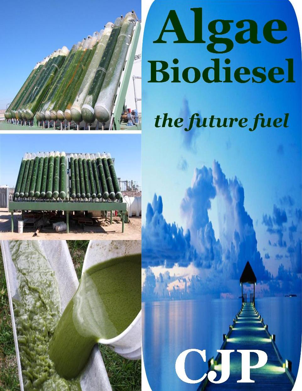 ALGAEBIOFUELS