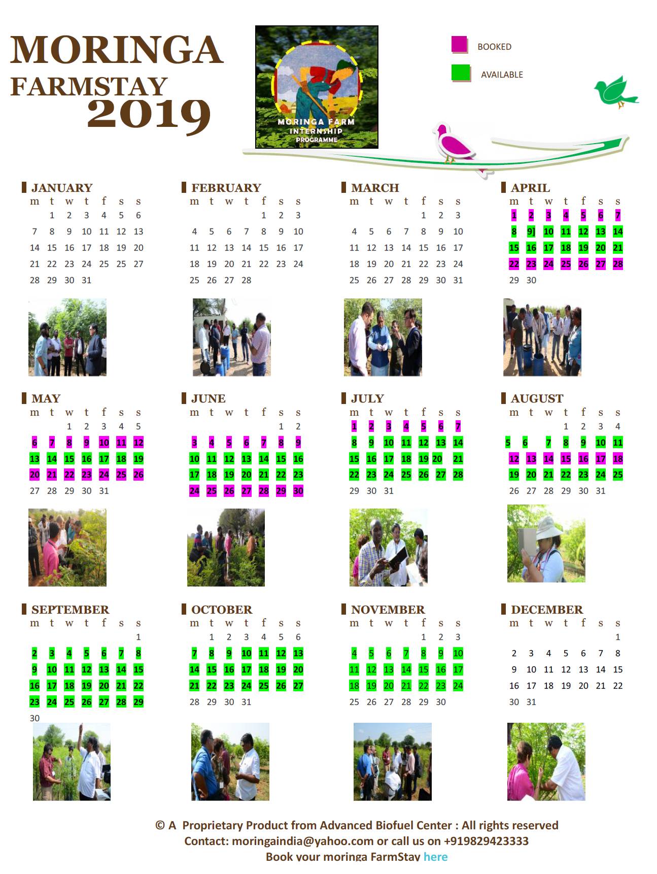 Moringa_FarmStay_2019 Moringa_FarmStay_2019