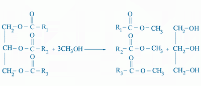 Transesterification