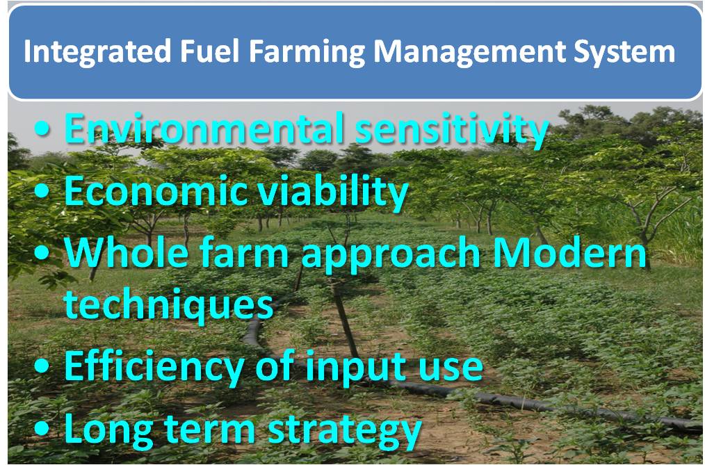 cjp fuel farming