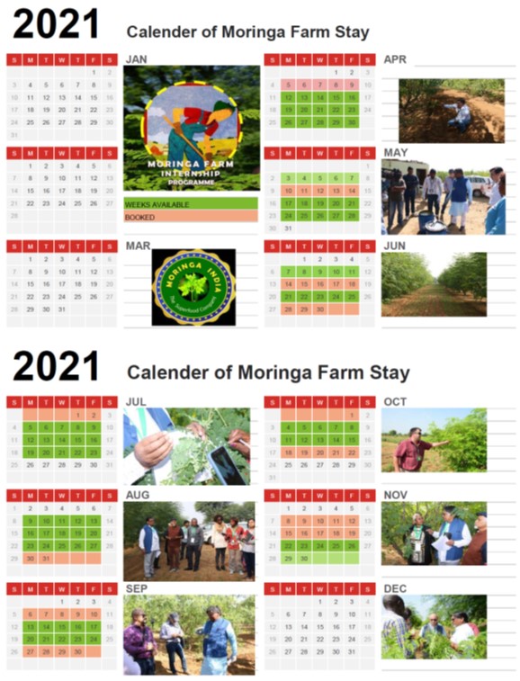 calender_moringa_farmstay_2021 calender_moringa_farmstay_2021